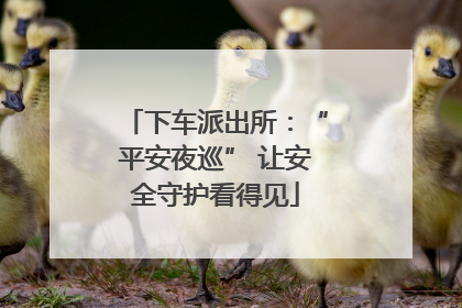 下车派出所：“平安夜巡” 让安全守护看得见
