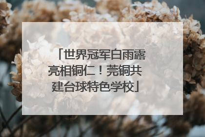 世界冠军白雨露亮相铜仁！莞铜共建台球特色学校
