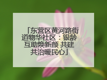 东营区黄河路街道物华社区：银龄互助焕新颜 共建共治暖民心