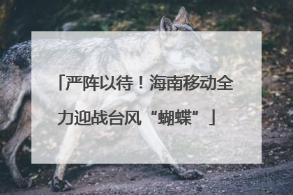 严阵以待！海南移动全力迎战台风“蝴蝶”