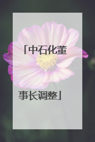 中石化董事长调整