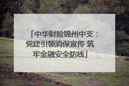 中华财险锦州中支：党建引领消保宣传 筑牢金融安全防线