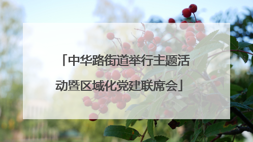 中华路街道举行主题活动暨区域化党建联席会