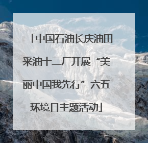 中国石油长庆油田采油十二厂开展“美丽中国我先行”六五环境日主题活动