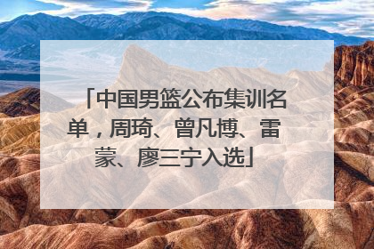 中国男篮公布集训名单，周琦、曾凡博、雷蒙、廖三宁入选
