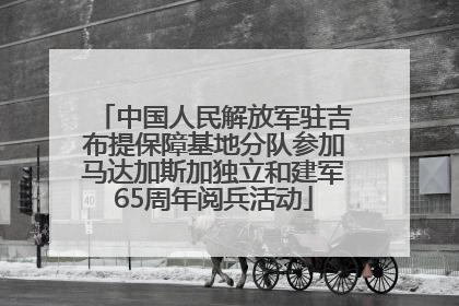 中国人民解放军驻吉布提保障基地分队参加马达加斯加独立和建军65周年阅兵活动