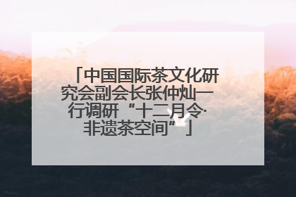 中国国际茶文化研究会副会长张仲灿一行调研“十二月令·非遗茶空间”