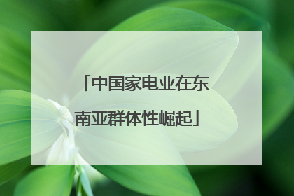 中国家电业在东南亚群体性崛起