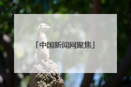 中国新闻网聚焦