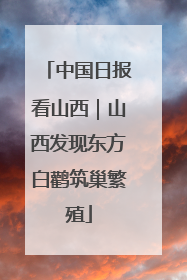 中国日报看山西｜山西发现东方白鹳筑巢繁殖