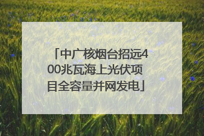 中广核烟台招远400兆瓦海上光伏项目全容量并网发电
