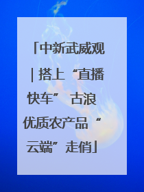 中新武威观｜搭上“直播快车” 古浪优质农产品“云端”走俏