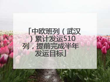 中欧班列（武汉）累计发运510列，提前完成半年发运目标
