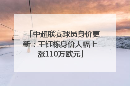 中超联赛球员身价更新：王钰栋身价大幅上涨110万欧元