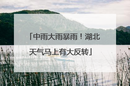 中雨大雨暴雨！湖北天气马上有大反转