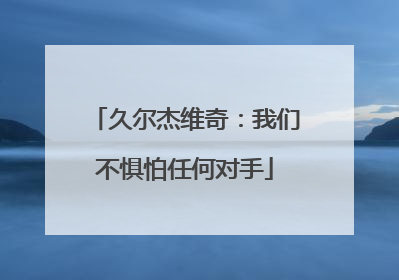 久尔杰维奇：我们不惧怕任何对手