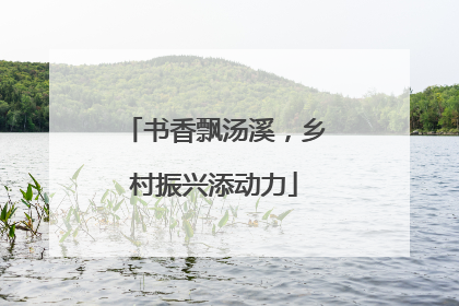 书香飘汤溪，乡村振兴添动力