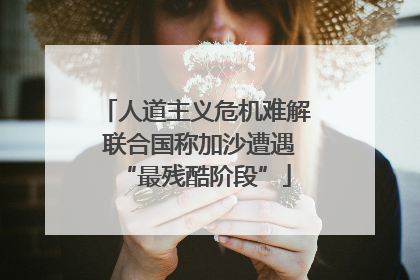 人道主义危机难解 联合国称加沙遭遇“最残酷阶段”