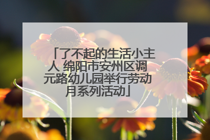了不起的生活小主人 绵阳市安州区调元路幼儿园举行劳动月系列活动