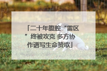 二十年腹腔“雷区”终被攻克 多方协作谱写生命赞歌
