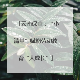 云南保山：“小清单”赋能劳动教育“大成长”