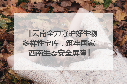 云南全力守护好生物多样性宝库，筑牢国家西南生态安全屏障