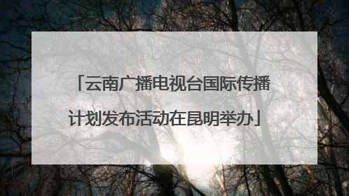 云南广播电视台国际传播计划发布活动在昆明举办