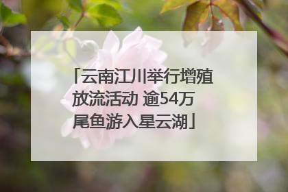 云南江川举行增殖放流活动 逾54万尾鱼游入星云湖