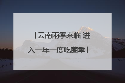 云南雨季来临 进入一年一度吃菌季
