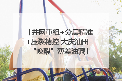 井网重组+分层精准+压裂精控 大庆油田“唤醒”薄差油藏