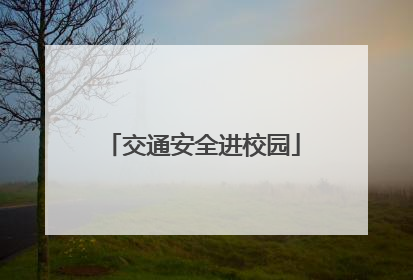 交通安全进校园