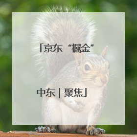 京东“掘金”中东｜聚焦