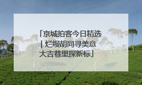 京城拍客今日精选｜烂缦胡同寻美意 大吉巷里探新标