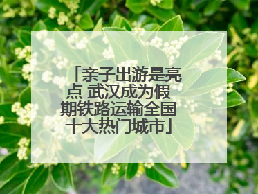 亲子出游是亮点 武汉成为假期铁路运输全国十大热门城市
