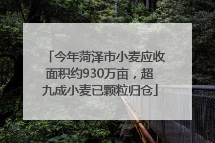 今年菏泽市小麦应收面积约930万亩，超九成小麦已颗粒归仓