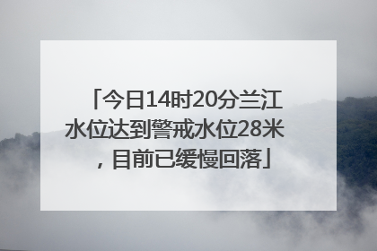 今日14时20分兰江水位达到警戒水位28米，目前已缓慢回落