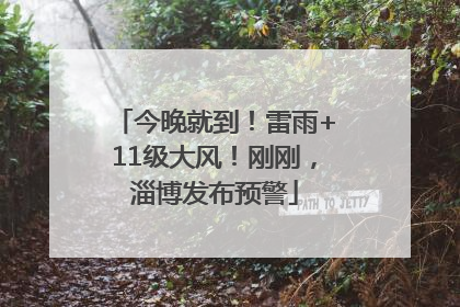 今晚就到！雷雨+11级大风！刚刚，淄博发布预警