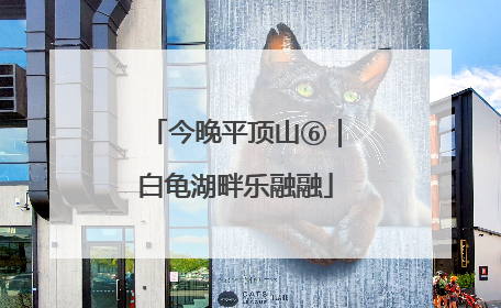 今晚平顶山⑥｜白龟湖畔乐融融