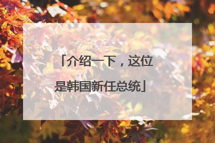 介绍一下，这位是韩国新任总统