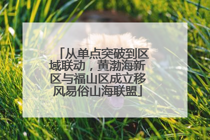 从单点突破到区域联动，黄渤海新区与福山区成立移风易俗山海联盟