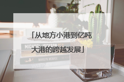 从地方小港到亿吨大港的跨越发展
