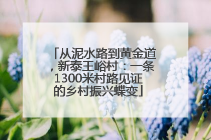 从泥水路到黄金道，新泰王峪村：一条1300米村路见证的乡村振兴蝶变