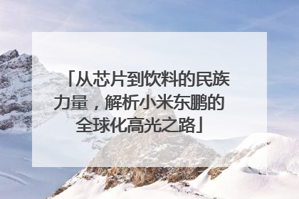 从芯片到饮料的民族力量，解析小米东鹏的全球化高光之路