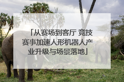 从赛场到客厅 竞技赛事加速人形机器人产业升级与场景落地