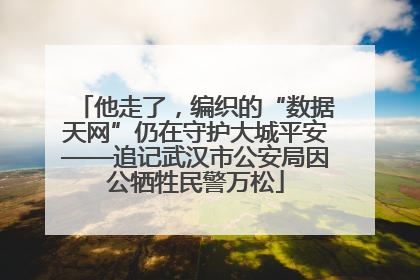 他走了，编织的“数据天网”仍在守护大城平安——追记武汉市公安局因公牺牲民警万松