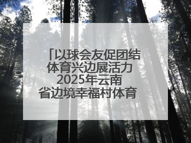 以球会友促团结 体育兴边展活力 2025年云南省边境幸福村体育嘉年华三人篮球赛圆满收官