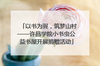 以书为翼，筑梦山村——许昌学院小书虫公益书屋开展捐赠活动