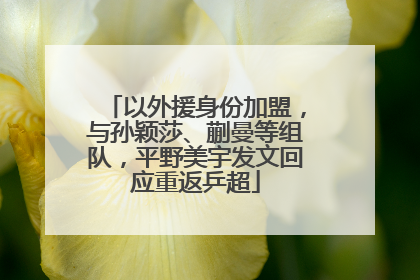 以外援身份加盟，与孙颖莎、蒯曼等组队，平野美宇发文回应重返乒超