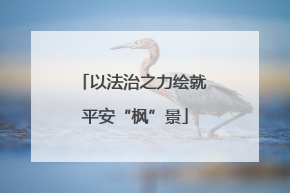 以法治之力绘就平安“枫”景