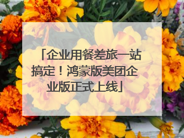 企业用餐差旅一站搞定！鸿蒙版美团企业版正式上线